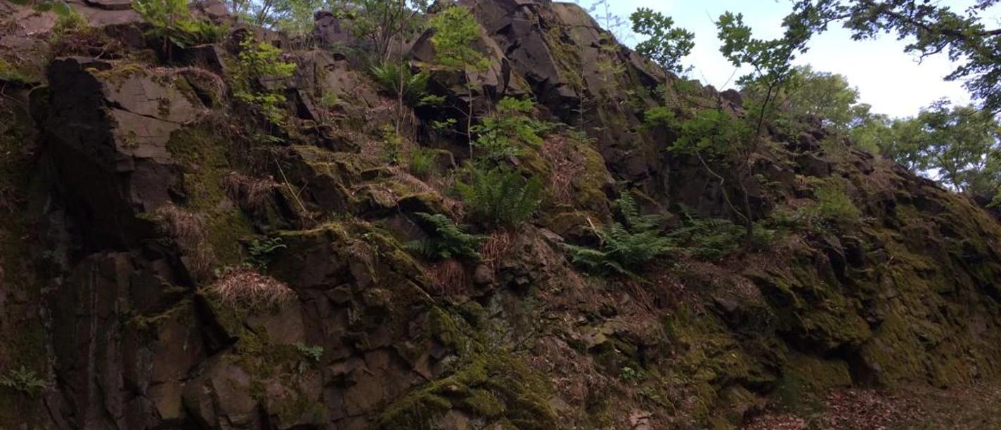 Schulfelsen Falkenstein