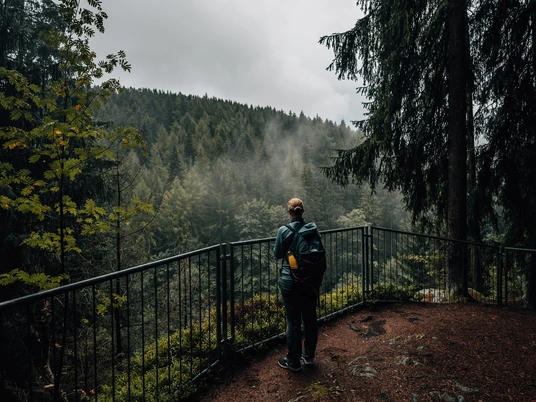 Bastei nahe Talsperre Falkenstein