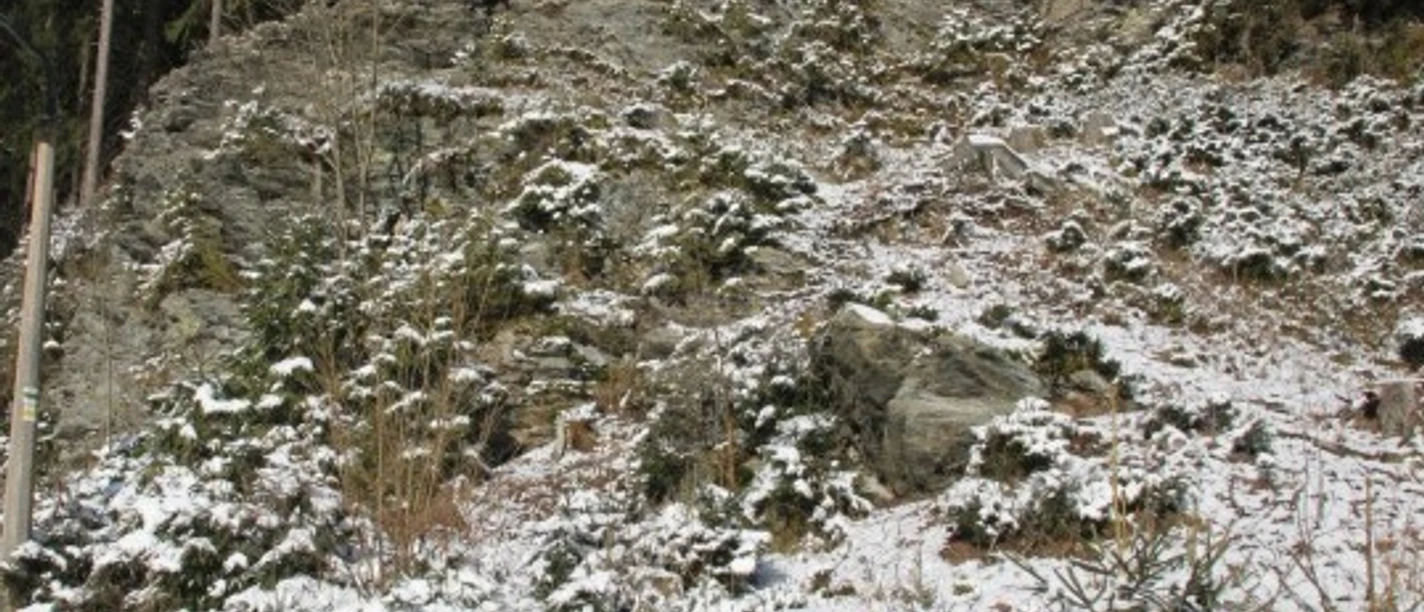 Phylitt-Aufschluss Druckersmühle Grünbach