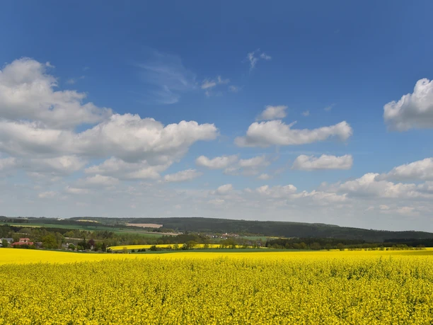 Vogtlandschaft