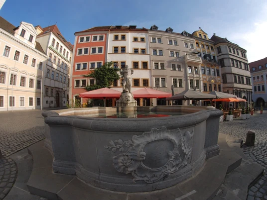 Neptunbrunnen am Untermarkt, Görlitz