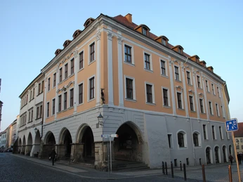 Brauner Hirsch, Görlitz