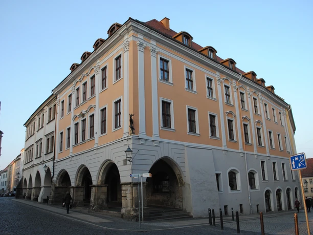 Brauner Hirsch, Görlitz