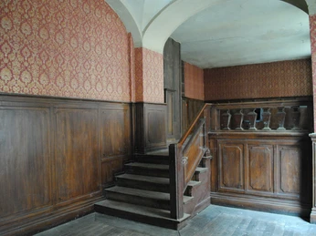 Brauner Hirsch, Görlitz