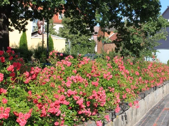Am EIchplatz in Auma