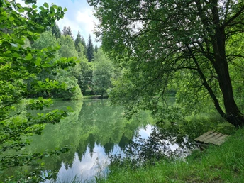 Stauweiher Ellefeld
