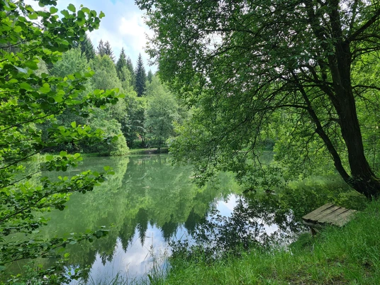 Stauweiher Ellefeld