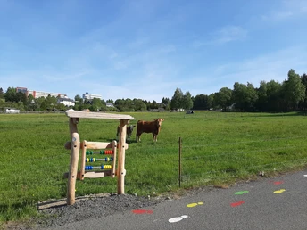 Das Ringspiel am Moosmännleinweg