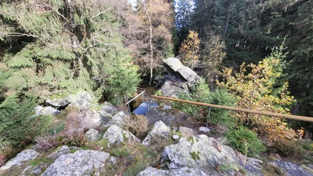 Auf dem Wendelstein Grünbach am Felsenweg 1