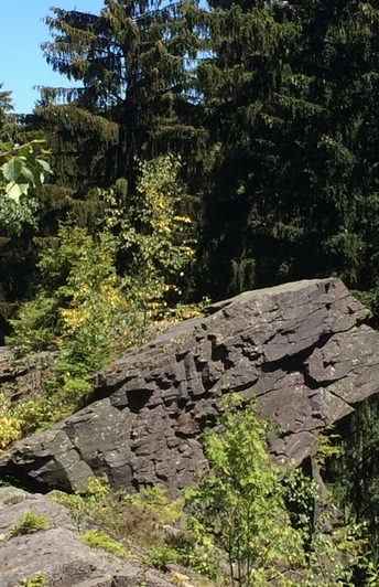 Felsmassiv Löwenkopf in Grünbach-Wendelstein am Felsenweg 1