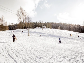 Rodelhang Tannenmühlbergl Erlbach im Winter