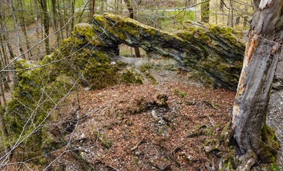 Die Waldbrücke - ein Geotop im Ellefelder Park