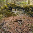 Die Waldbrücke - ein Geotop im Ellefelder Park
