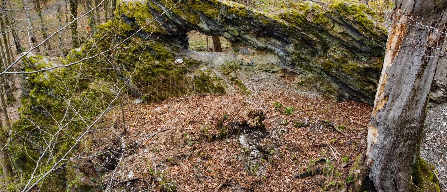 Die Waldbrücke - ein Geotop im Ellefelder Park