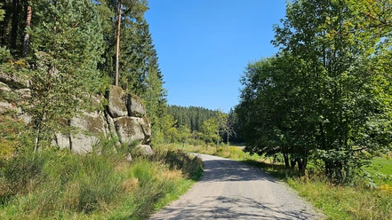 Jungfernsprung im Zinsbachtal bei Grünheide