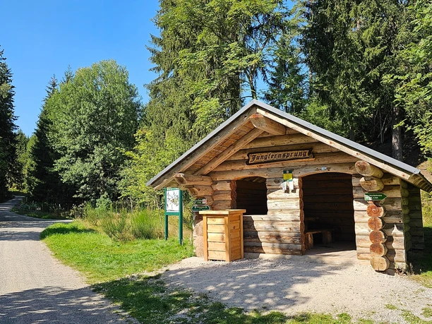 Jungfernsprung im Zinsbachtal bei Grünheide
