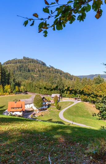 Der Wiesensteig oberhalb vom Stieg.