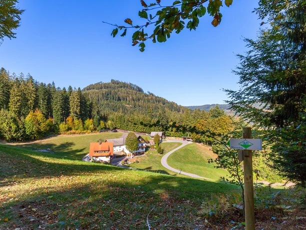 Der Wiesensteig oberhalb vom Stieg.