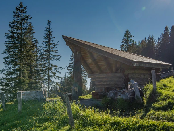 Gruebi Chäserenholz mit Tannen_bearb