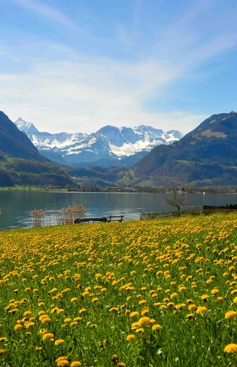 Seerundfahrt Sarnersee