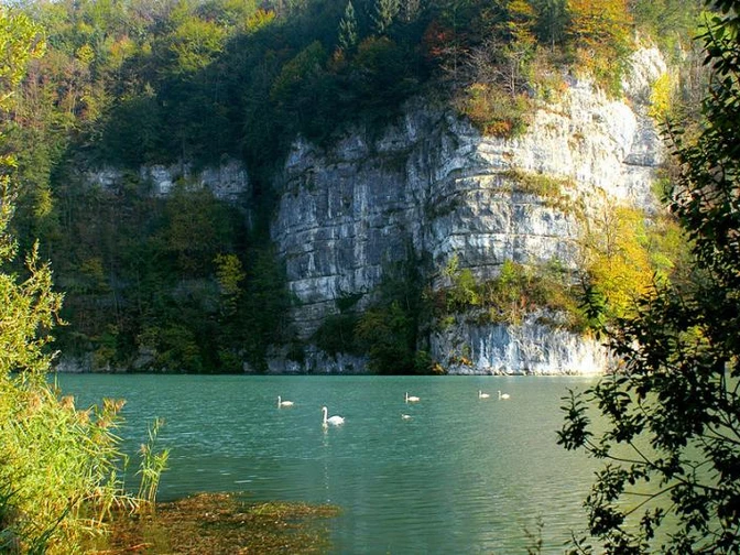 Wichelsee mit Schwänen