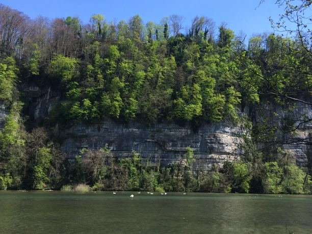 Wichelsee