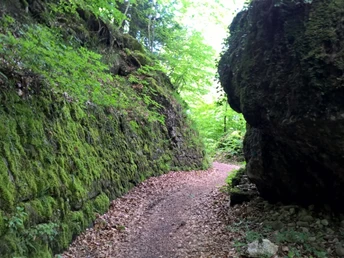 Polenweg Seebodenalp