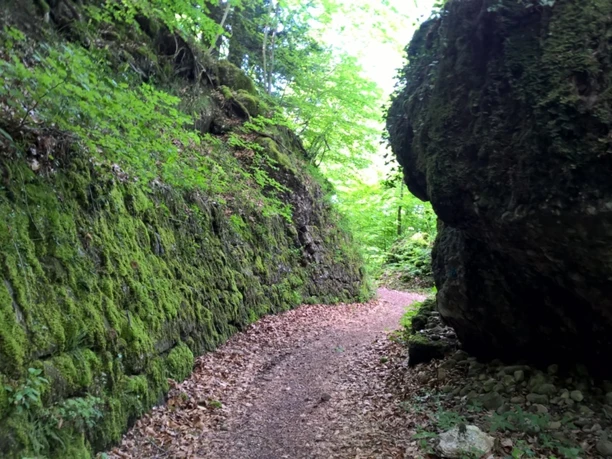Polenweg Seebodenalp