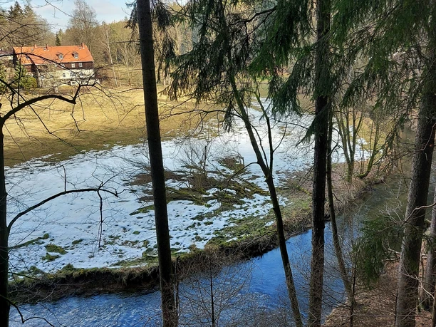 Waldmühle