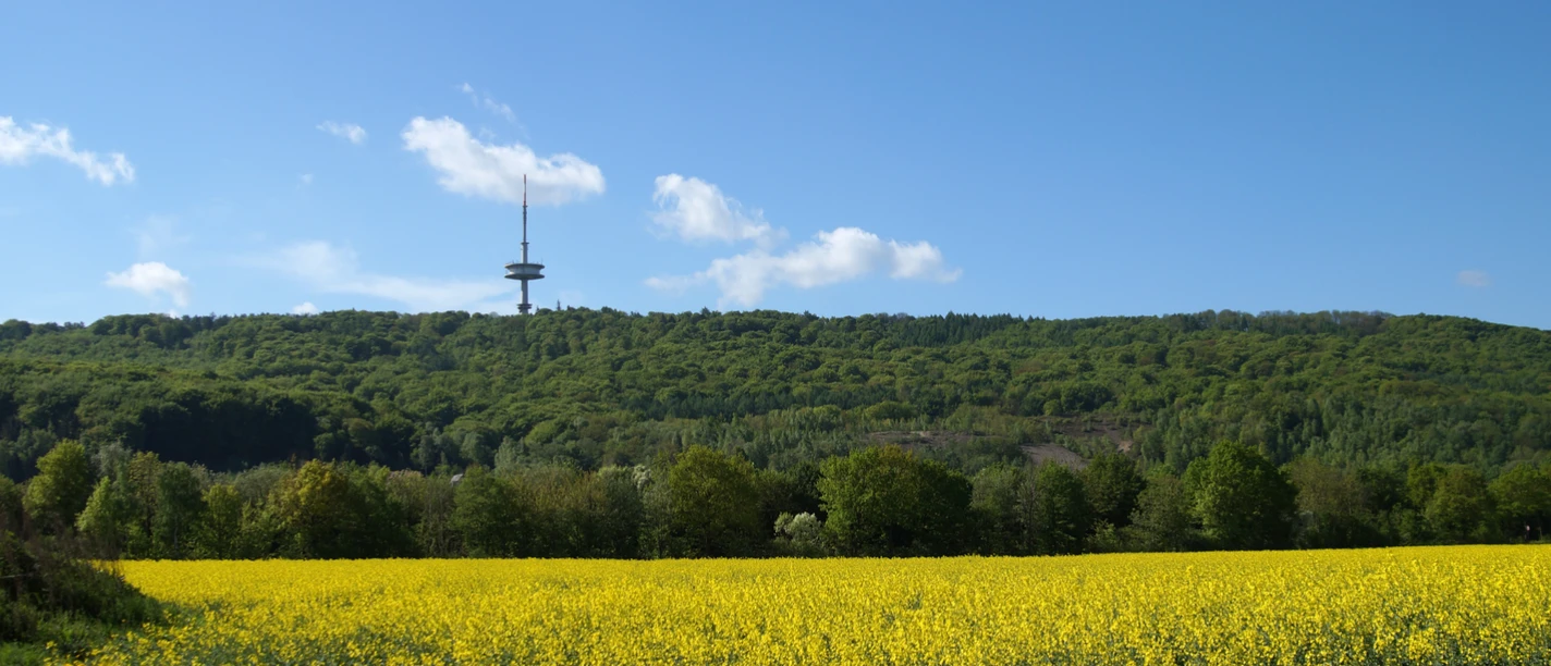 Fernsehturm im Frühling