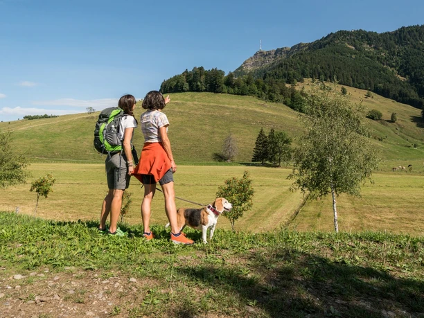 Rundwanderung auf der Seebodenalp