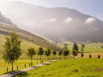 Baumallee Seebodenalp