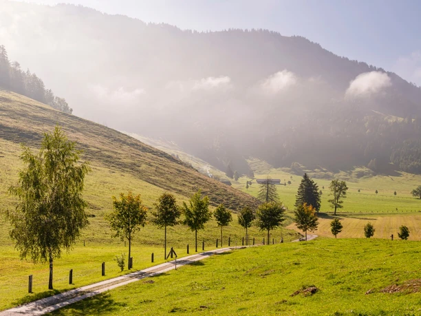 Baumallee Seebodenalp