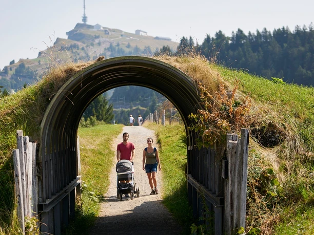Von der Station Rigi Staffelhöhe geht es weiter nach Rigi Kaltbad