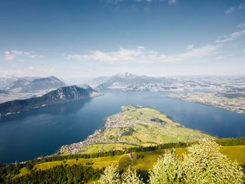 Aussicht vom Känzeli über den Vierwaldstättersee
