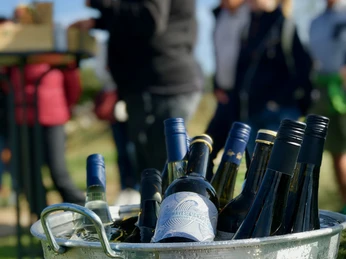 Vino_c_Wein Erlebnistouren Sylt.jpeg