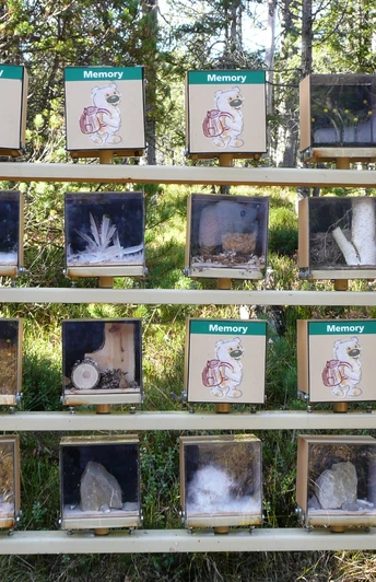 Memory Posten Moorbäerpfad