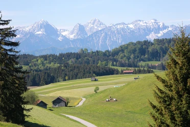 Einzigartiges Alpenpanorama