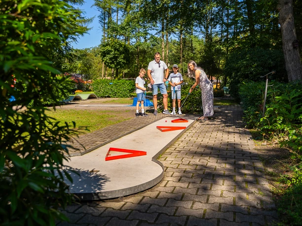 Minigolfanlage Surwold Familie spielt unter Bäumen Minigolf auf sonniger Anlage mit roten Hindernissen in Surwold.