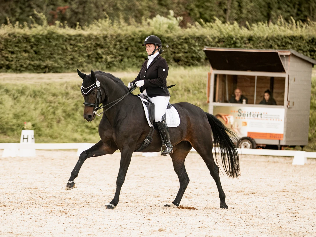 Dressurturnier.jpg
