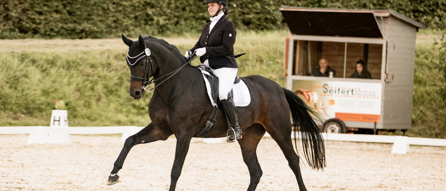 Dressurturnier.jpg