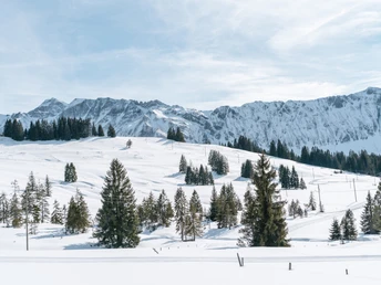 Traumhafte Aussicht auf die Brienzer-Rothorn-Kette