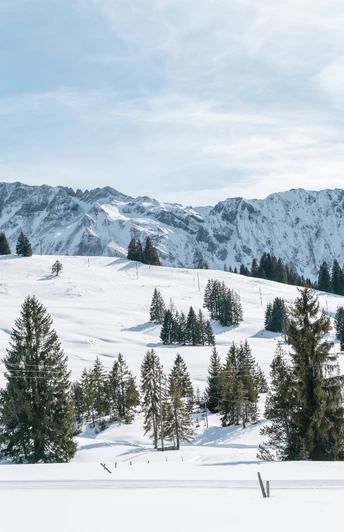 Traumhafte Aussicht auf die Brienzer-Rothorn-Kette
