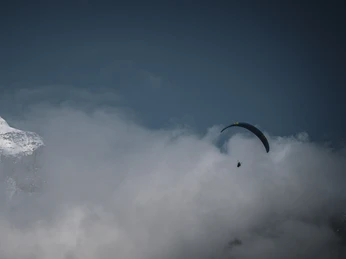 Rollibocktrophy 2024 Rollibocktrophy 2024