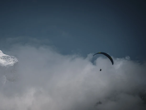 Rollibocktrophy 2024 Rollibocktrophy 2024