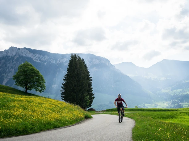 Inmitten von Blumenmeer und Bergwelt