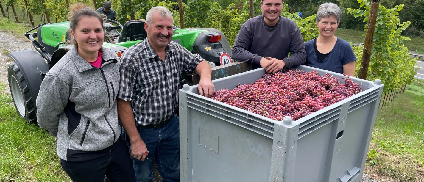 Erste Weinlese der Familie Gassmann in Sempach.jpg