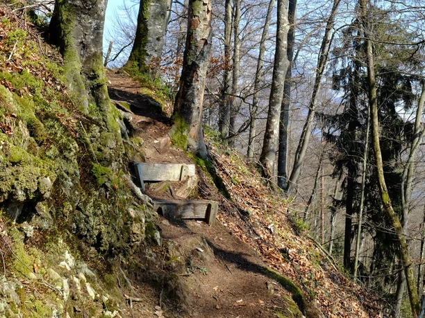 Gipfel-Aufstieg Rappersflue (von Unter Nas)