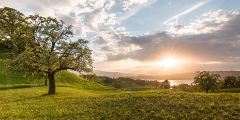 Etwas oberhalb vom Dorf Weggis befindet sich dieser schöne Wanderweg
