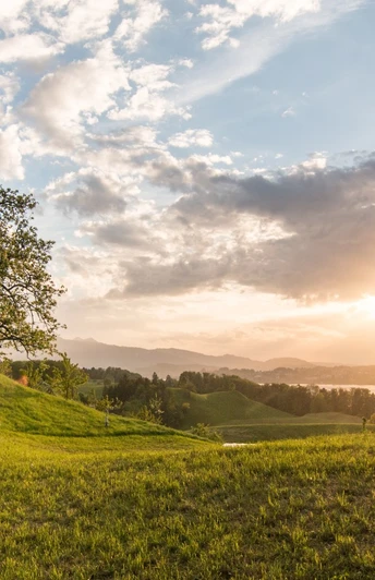 Etwas oberhalb vom Dorf Weggis befindet sich dieser schöne Wanderweg